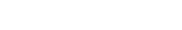研究成果